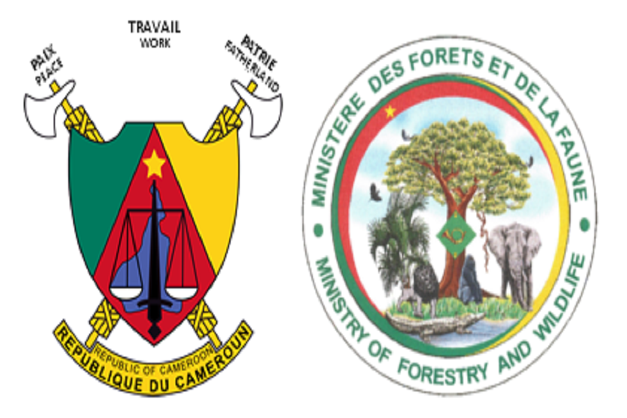 Cameroun  La réunion annuelle du ministère des forêts et de la faune